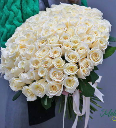 101 Белая голландская роза 40 см Фото 394x433
